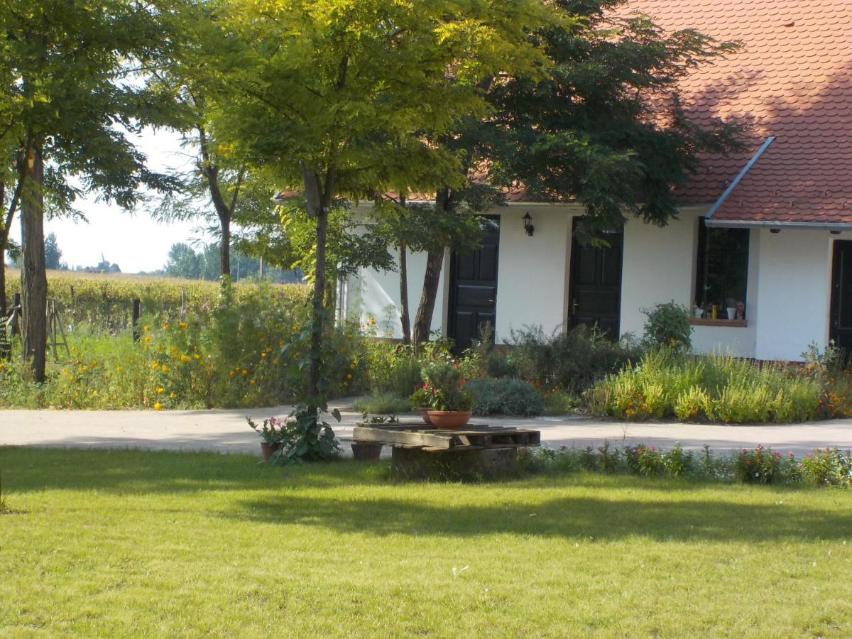 Guest House Vidravar Tabdi 外观 照片