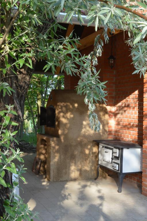 Guest House Vidravar Tabdi 外观 照片